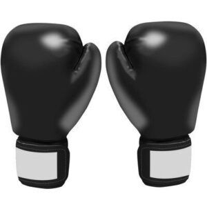 Boxing Gloves LEATHER PRODUCTS