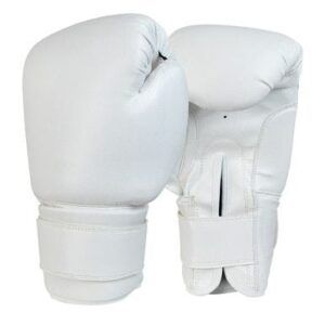 Ringside Pro Fitness Boxing Gloves